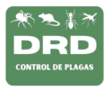 DRD