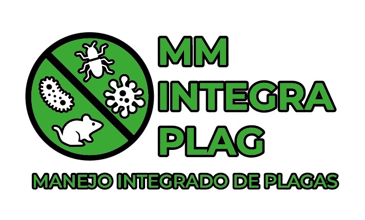MM Integra Plag
